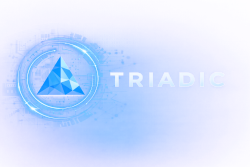 Triadic Software Logo